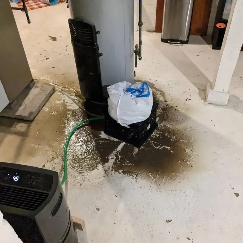Sewage Backup Cleanup Service in Hillsville, VA